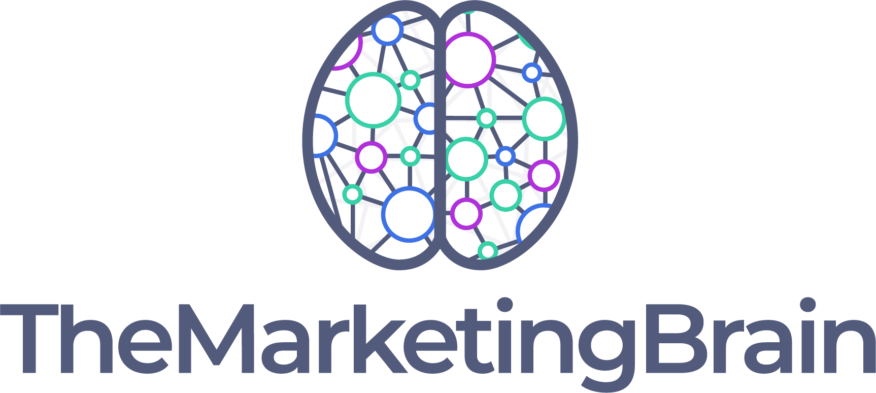 The Marketing Brain